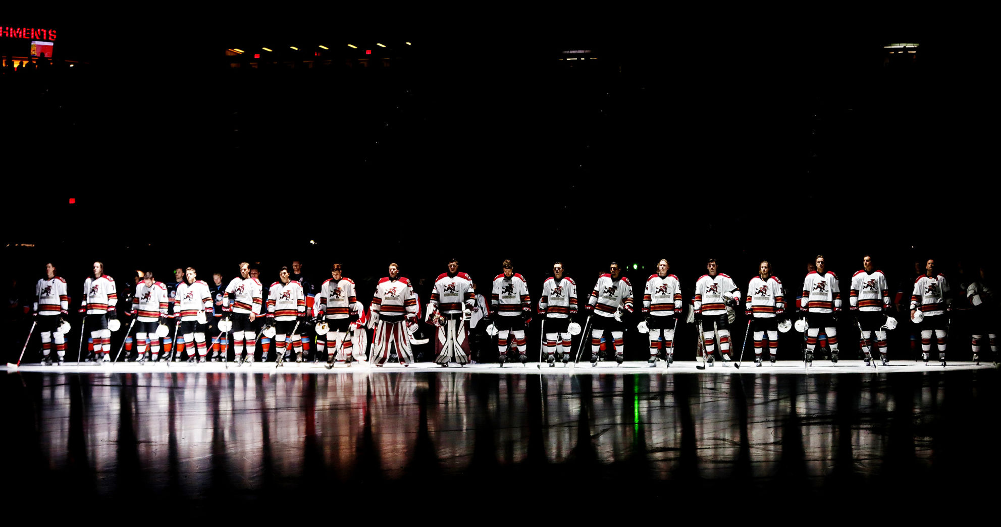 Tucson Roadrunners vs. San Diego Gulls AHL hockey